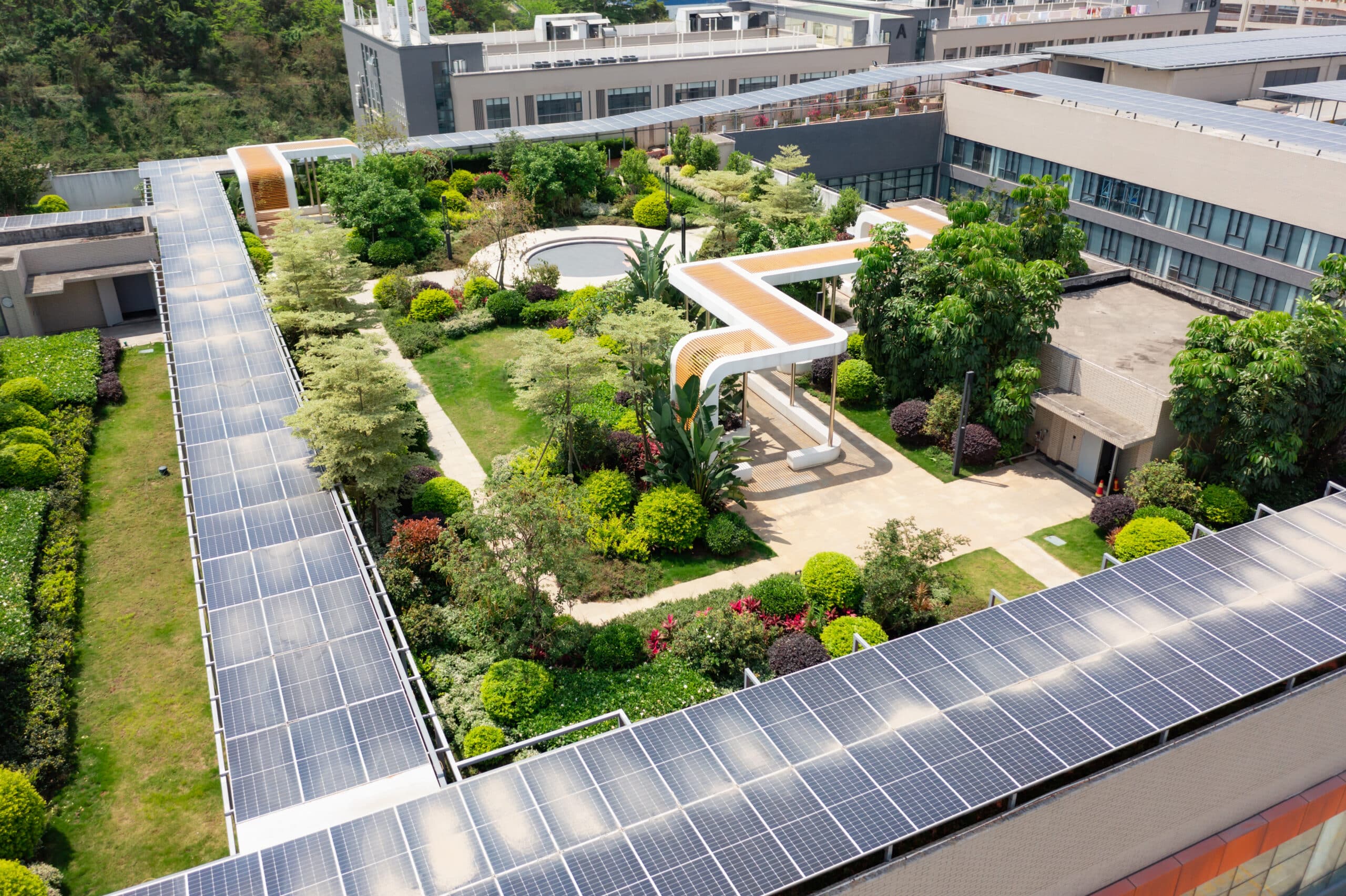 A modern sustainable office building with plants on the roof and solar panels installed to provide clean energy for the business and a shaded leisure space for the employees.