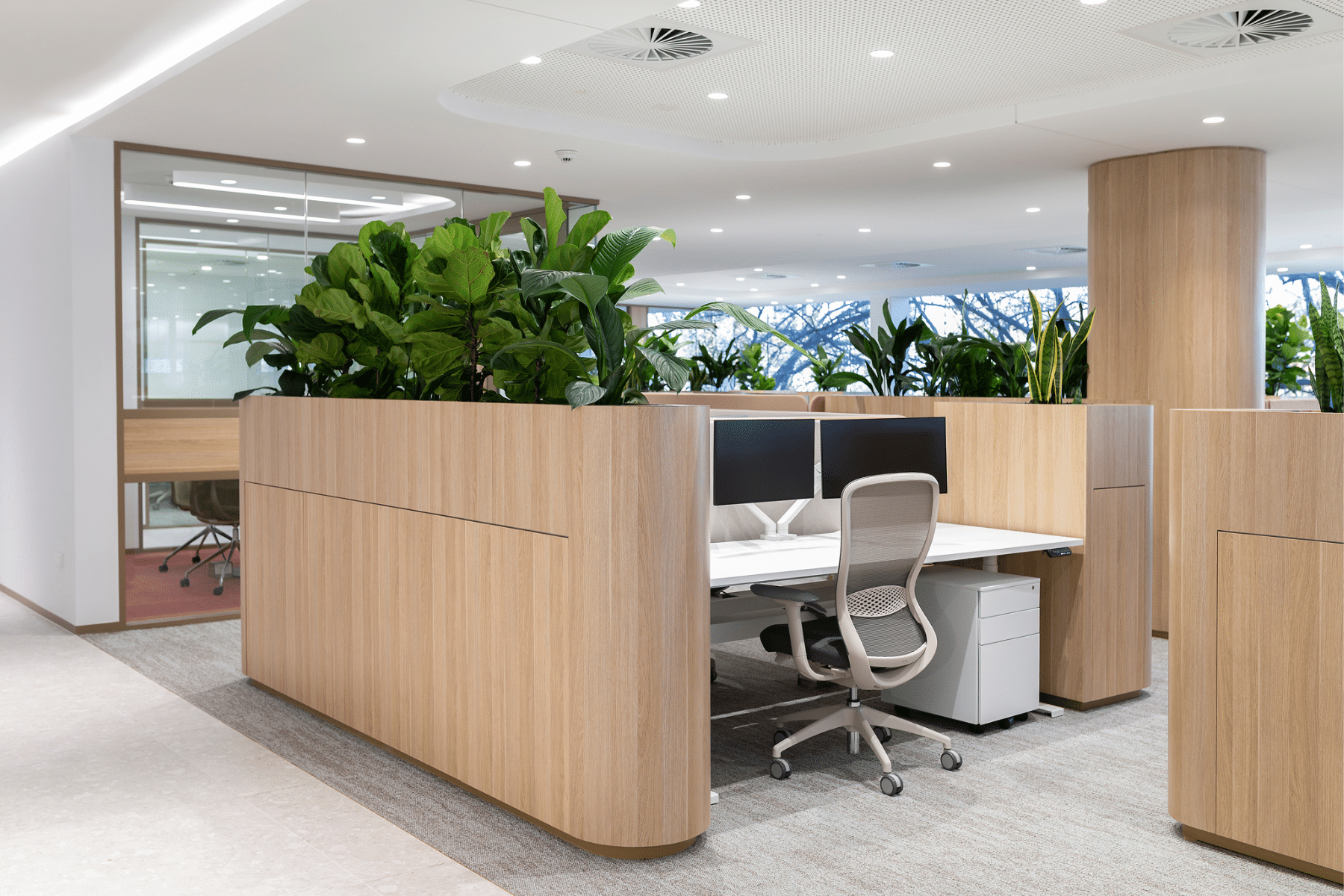 Modern office with multiple workstations, stylish chairs, and sleek desks, featuring an open layout with ample natural light.