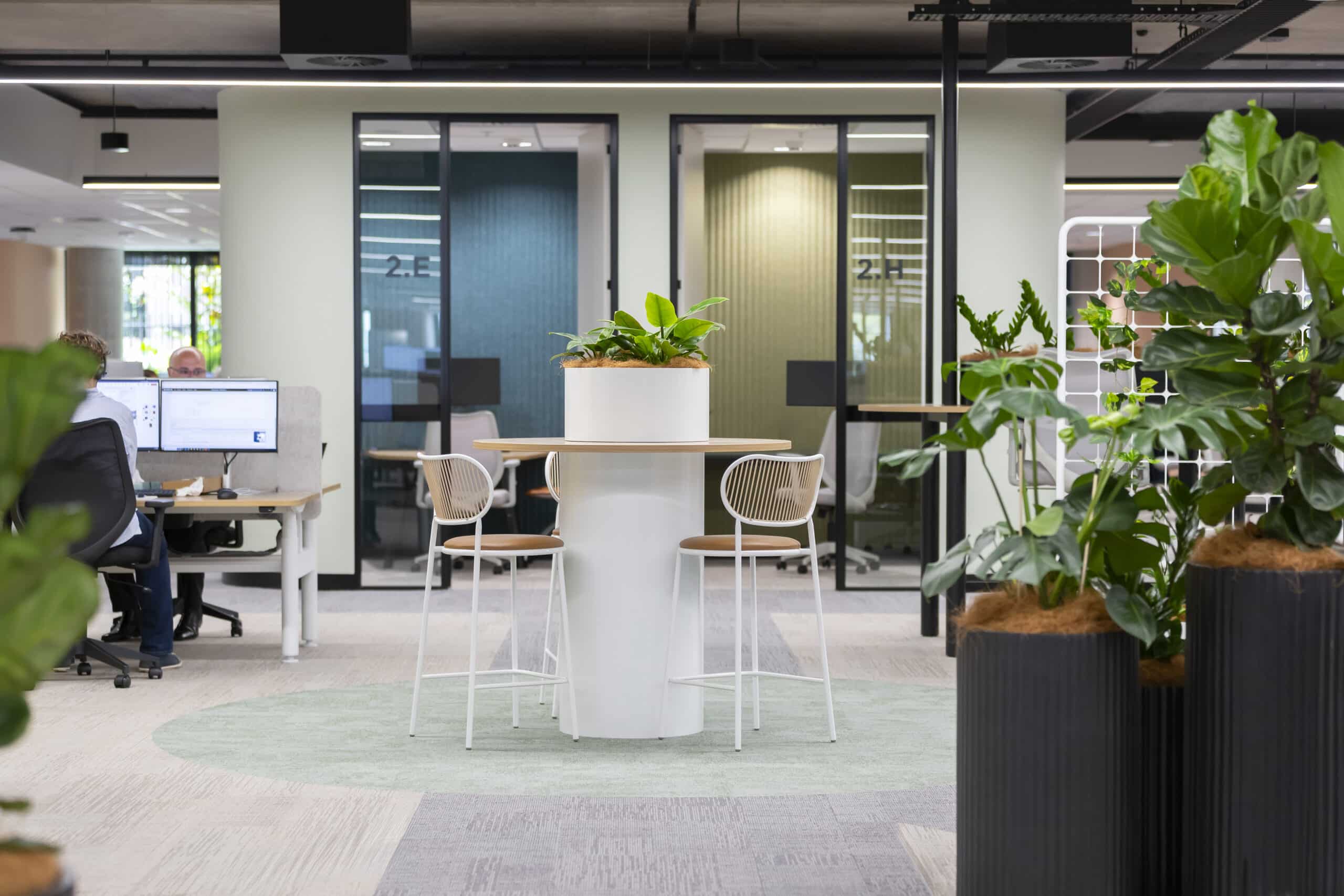 A contemporary workspace featuring ergonomic furniture, ample natural light, and a well-designed layout that promotes productivity and creativity.